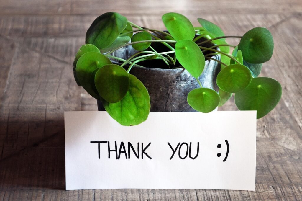 Plant with thank you note